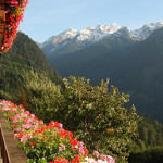Blick vom Balkon