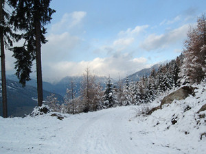 Winterwanderweg